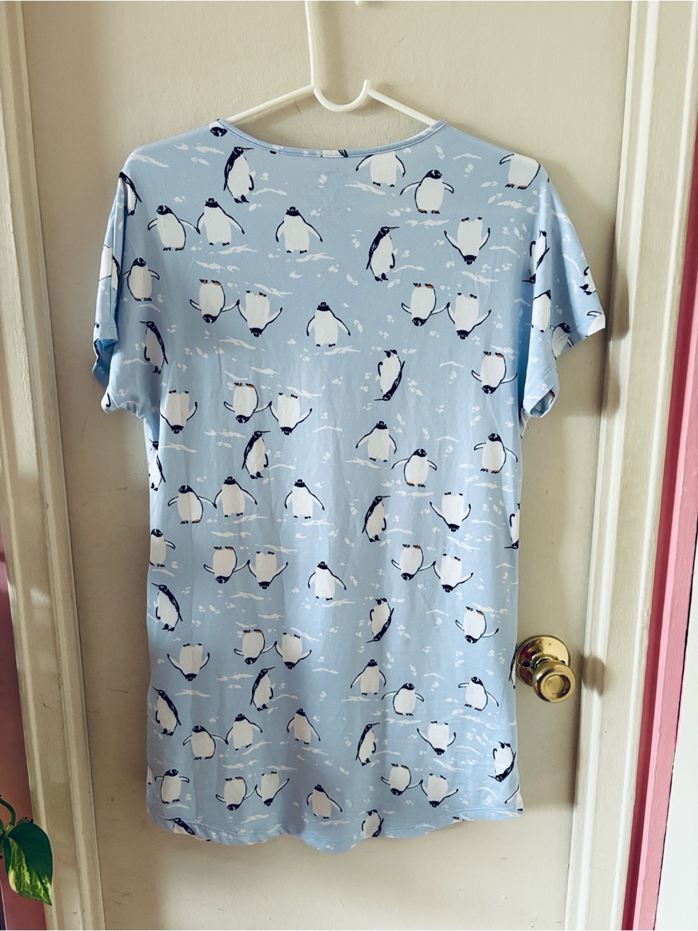 Joyspun Cute Baby Blue Penguin Print Nightgown with Pockets - Picture 2 of 4